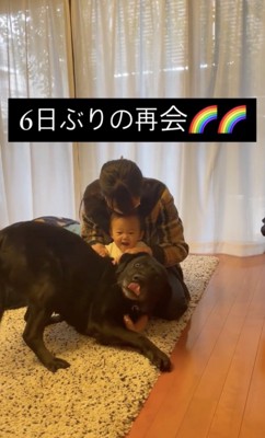 赤ちゃんにピタッ