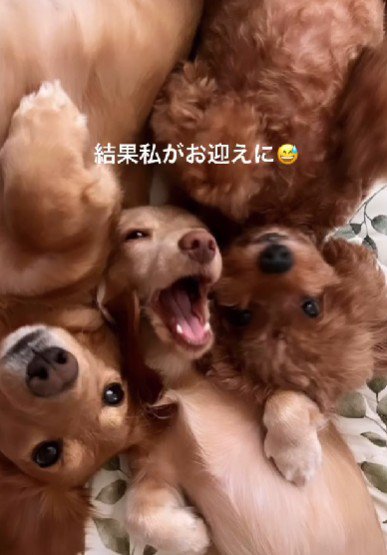 3兄弟の末っ子に!!