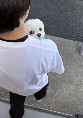 いつもと違う