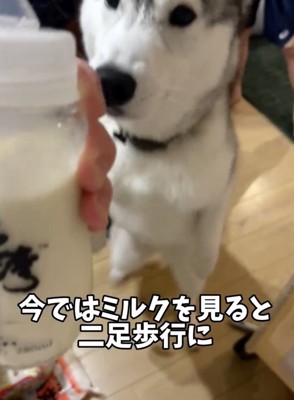スンッ…
