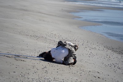 飼い主さんを心配するプットくん
