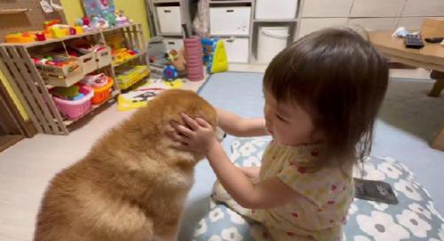 雷を怖がるすずちゃん