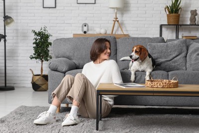 女性とソファに乗る犬