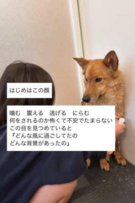 隅に逃げる