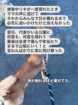ガリガリの犬