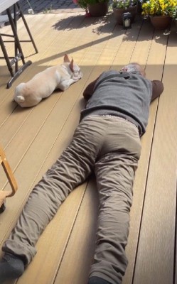 ウッドデッキで日向ぼっこ