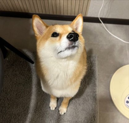 あざとい