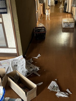 犯人は
