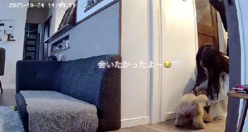 「今までどこ行ってたの!」