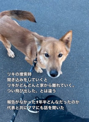 リキくん