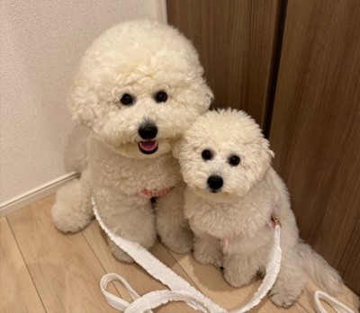 仲良し