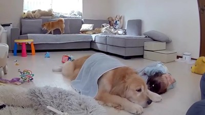 ゴロンと転がって…