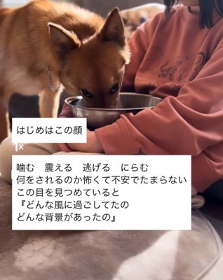 睨む