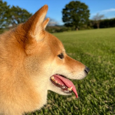 自然