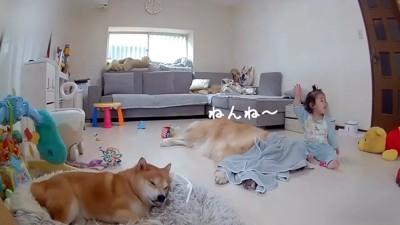 ポンポンと寝かしつけ