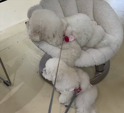 お試し