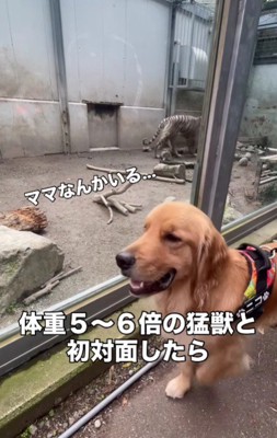 迫力満点…!