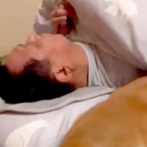 布団で寝ているお父さん→隣に柴犬が入って…あまりにも人間すぎる『寝方』に1万いいね集まる「長年連れ添った夫婦感w」「羨ましすぎる」