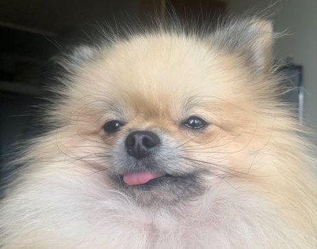 虚無顔