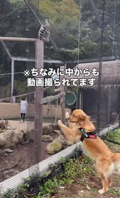「遊ぼう~」