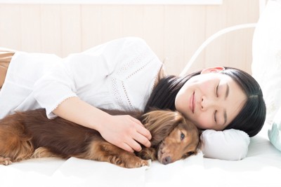 ダックスと添い寝をする女性