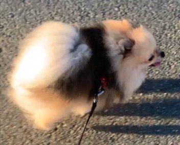 そっくり
