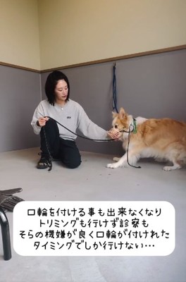 口輪もつけられないそらくん