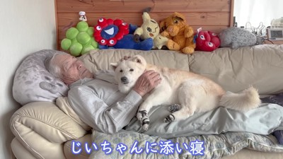 おじいちゃんの元へ…