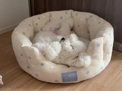 癒やす