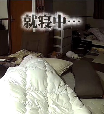 みんな就寝中