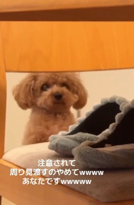 注意したら…