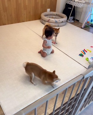 赤ちゃんが間に…!