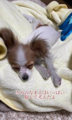 名前もたくさん考えた