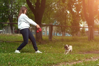 リードを引っ張る女性と拒否する犬