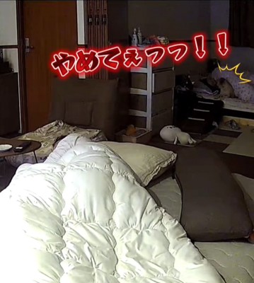 叫ぶママ