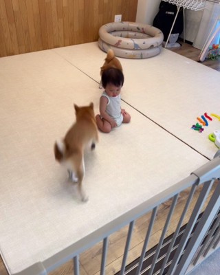 肝の座った赤ちゃんに感嘆