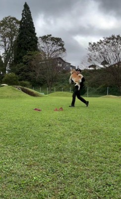 パパはどこへ…？