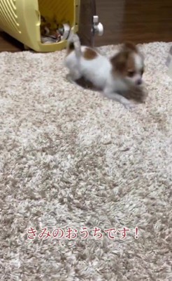 準備をしていなかった…