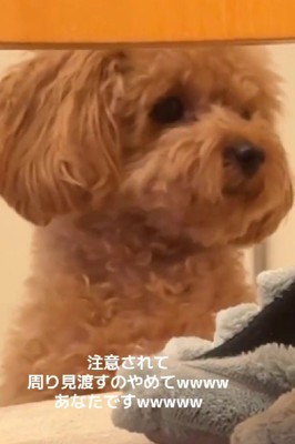 「どなたか怒られてますよ？」
