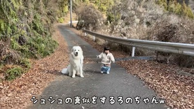 女の子が立ち止まると…？