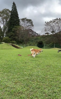 ママに着いていっちゃった！