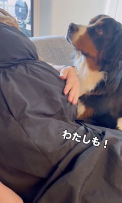 「なでてっ」