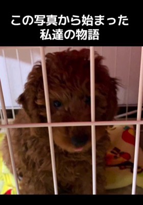 この写真からすべてが始まった…