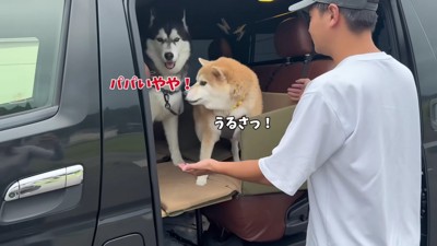 「パパは嫌!!」