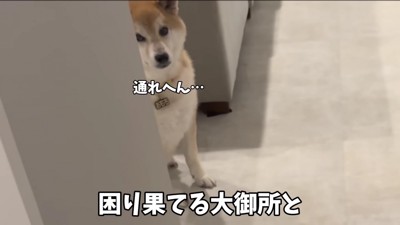 ついつい赤ちゃん返り!?