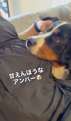しあわせ〜