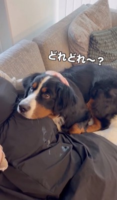 ピタッ