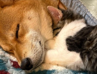 抱き合って