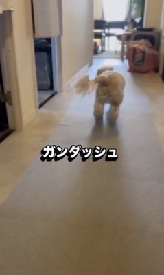 早い！！
