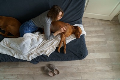 犬を心配する女性